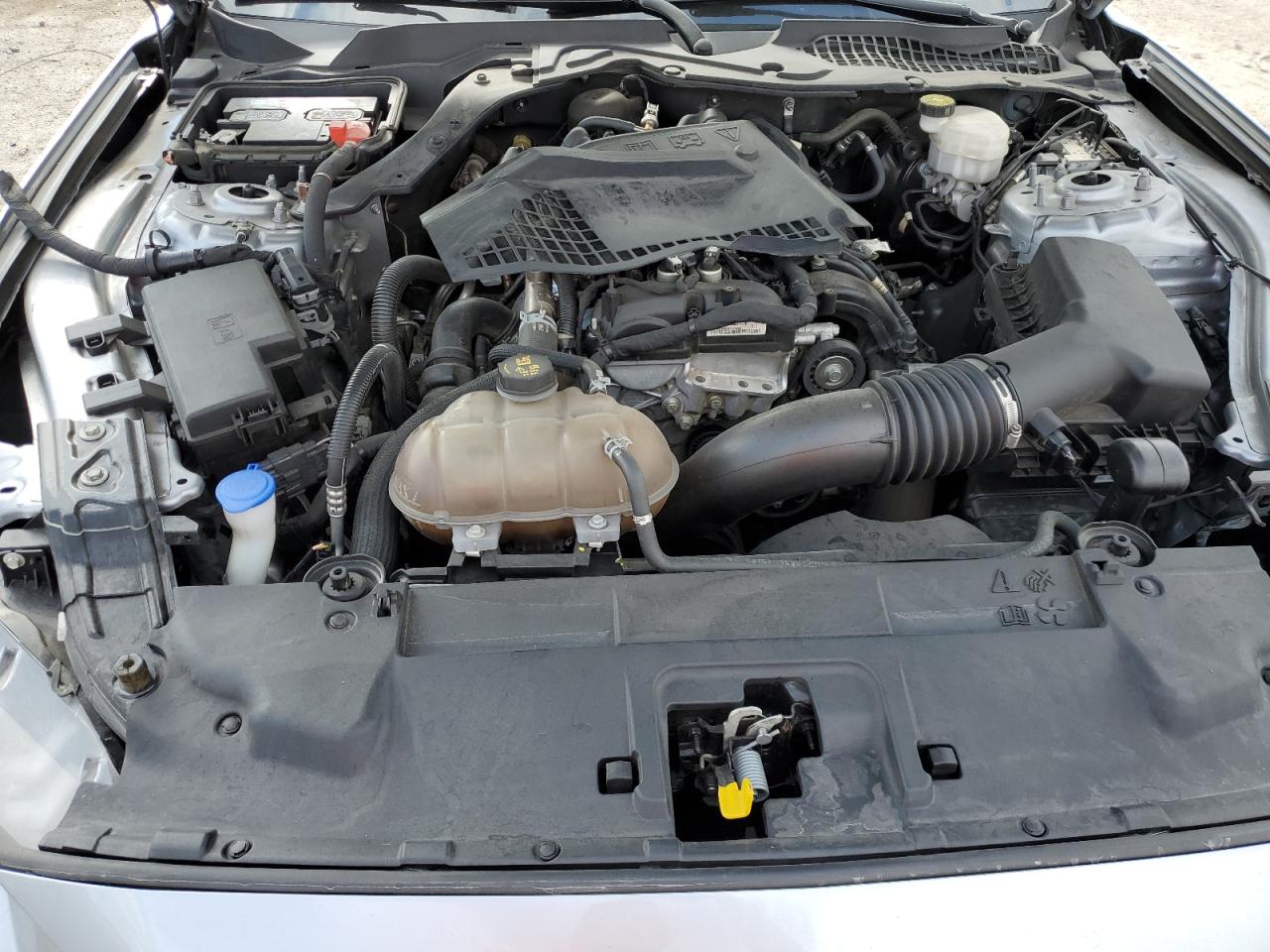 1FA6P8TH4M5107248 FORD ALL Models 2021