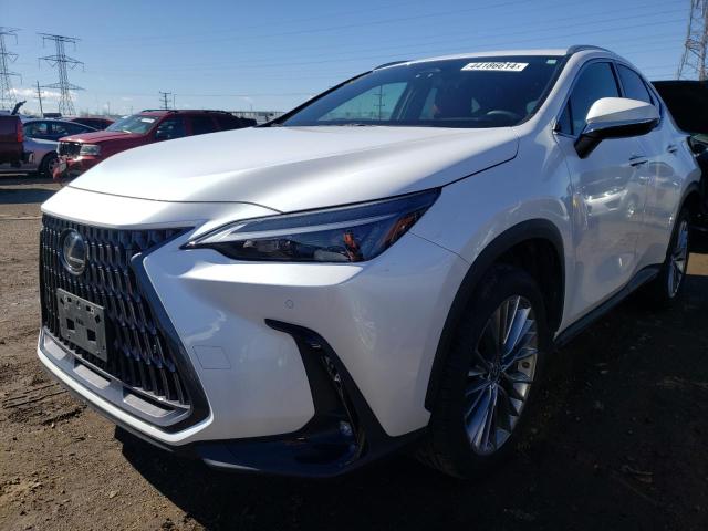 Lot #2363896551 2022 LEXUS NX 350H salvage car