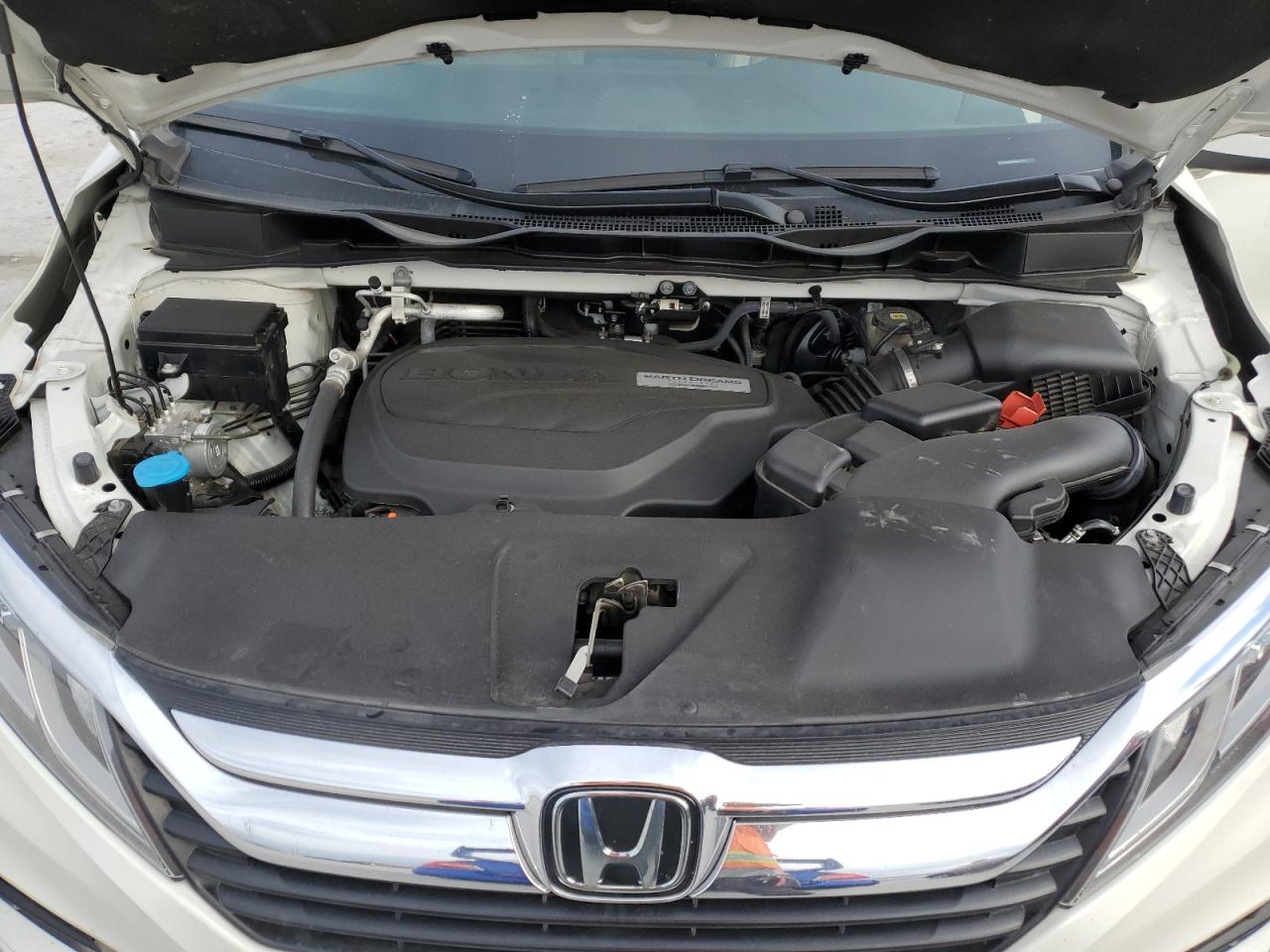 5FNRL6H75KB061271 HONDA All Models 2019