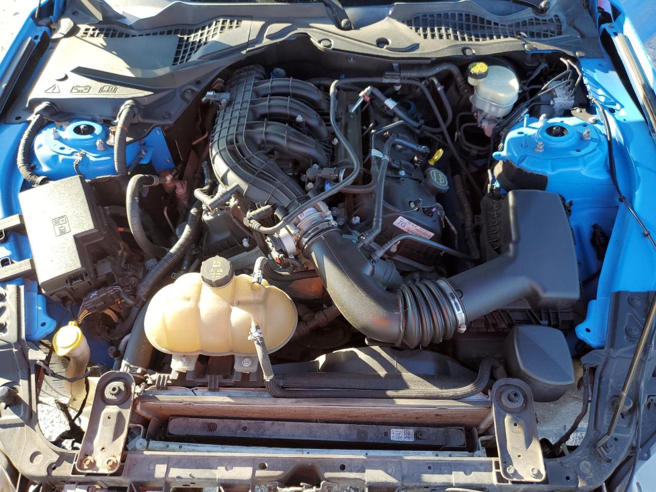 1FA6P8AM7H5209732 FORD ALL Models 2017