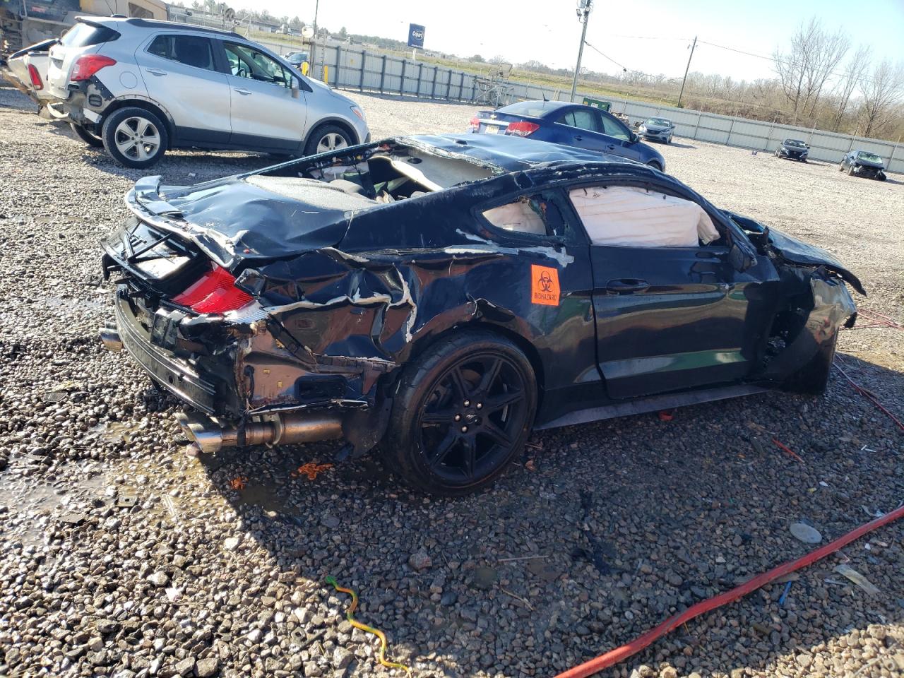 1FA6P8CF4K5186660 FORD MUSTANG 2019