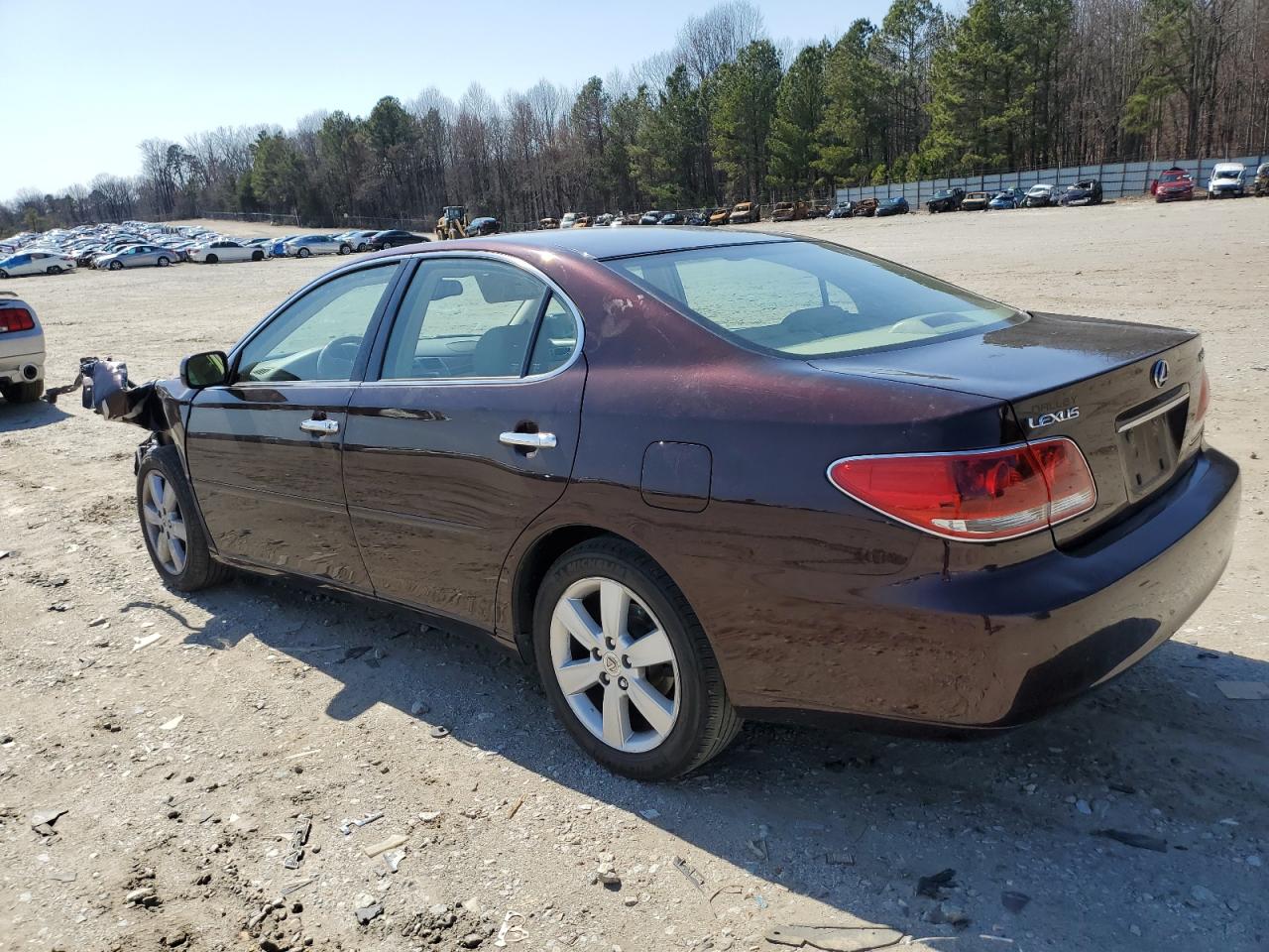 JTHBA30G255100131 2005 Lexus Es 330