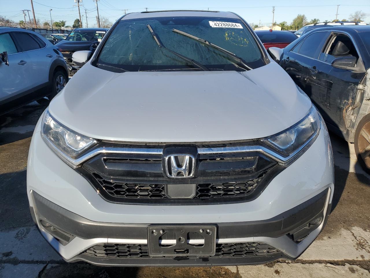 7FARW1H59NE018196 HONDA CRV 2022