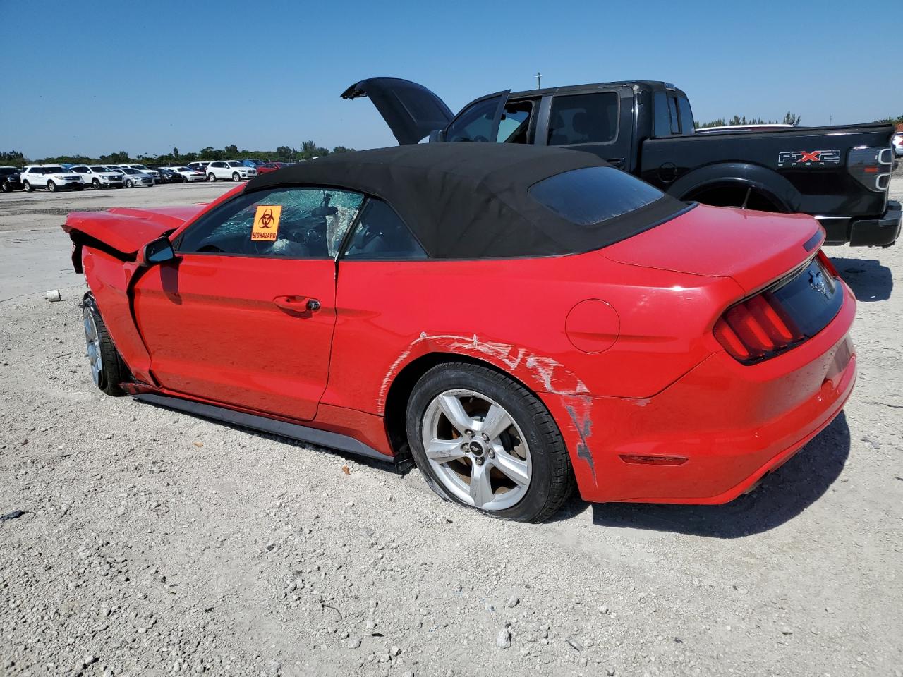 1FATP8EM4G5281001 FORD ALL Models 2016