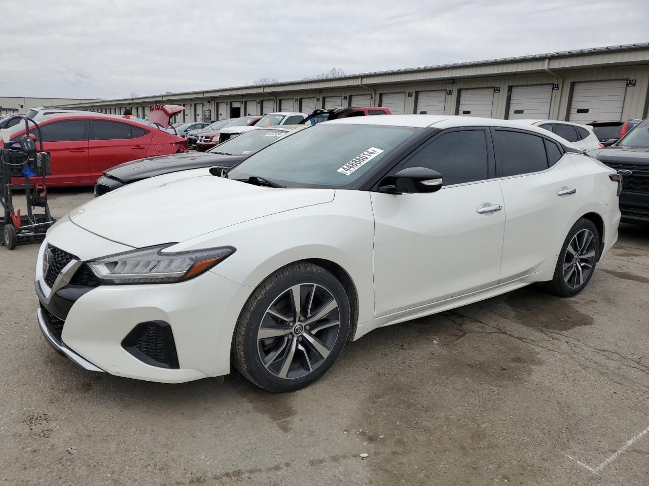 1N4AA6AV3KC373216 NISSAN MAXIMA 2019