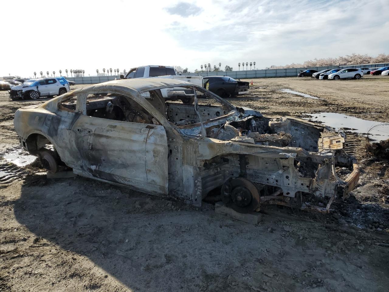 1FA6P8TH0H5293277 FORD ALL Models 2017