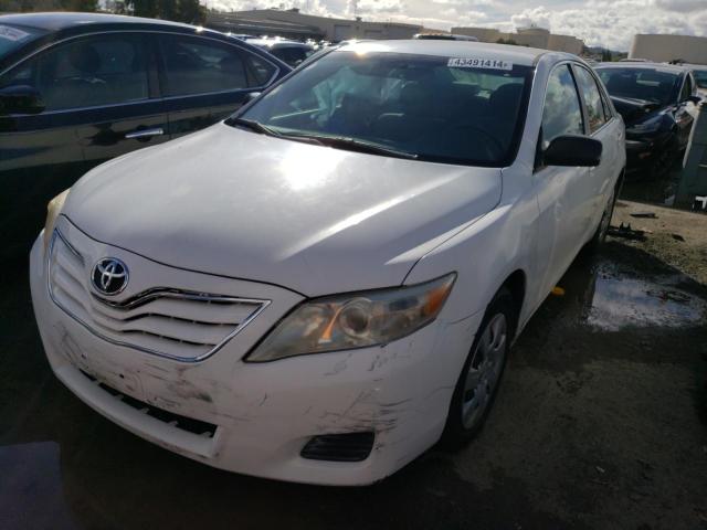 Lot #2536071879 2011 TOYOTA CAMRY BASE salvage car