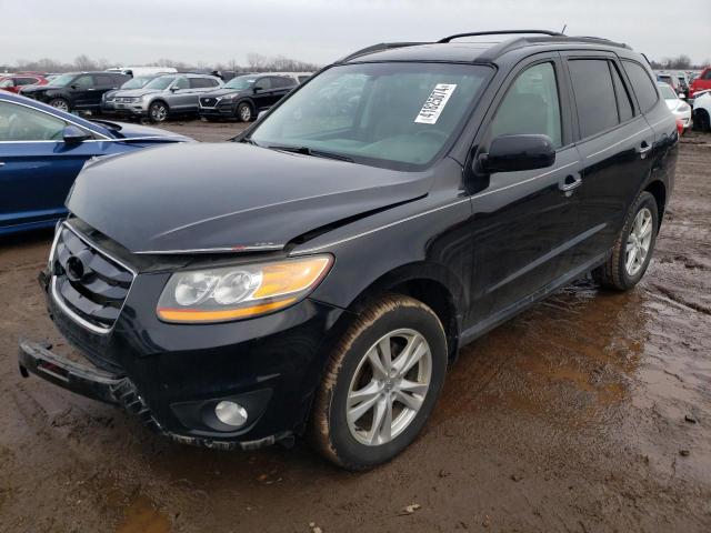 Lot #2340490384 2011 HYUNDAI SANTA FE L salvage car