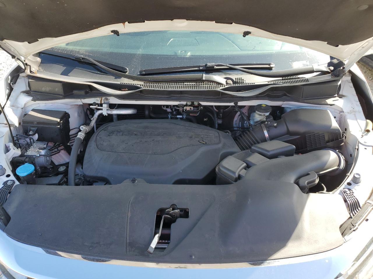 5FNRL6H76MB036835 HONDA All Models 2021