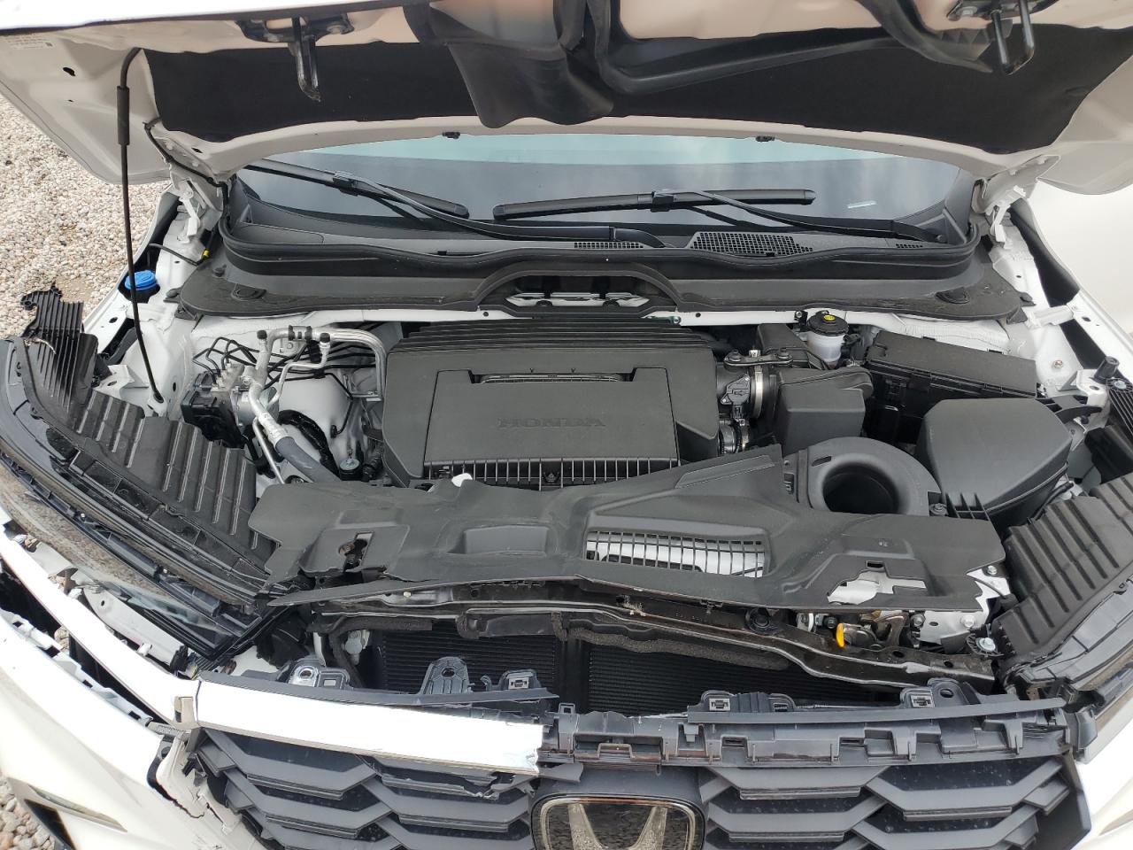 5FNYG1H59RB004647 HONDA PILOT 2024
