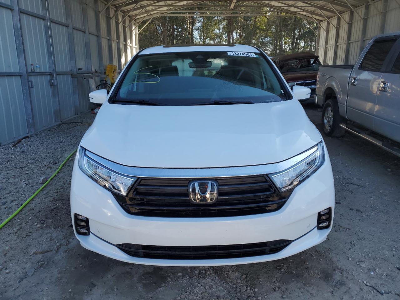 5FNRL6H94PB028772 HONDA ODYSSEY 2023