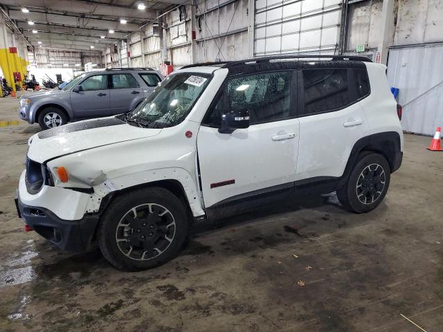 2023 Jeep Renegade Trailhawk VIN: ZACNJDC18PPP60029 Lot: 41250124