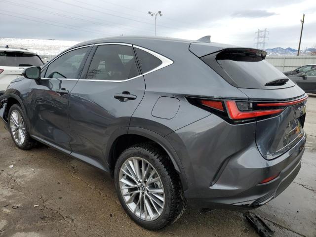2024 LEXUS NX 350 LUX 2T2HGCEZ3RC033452