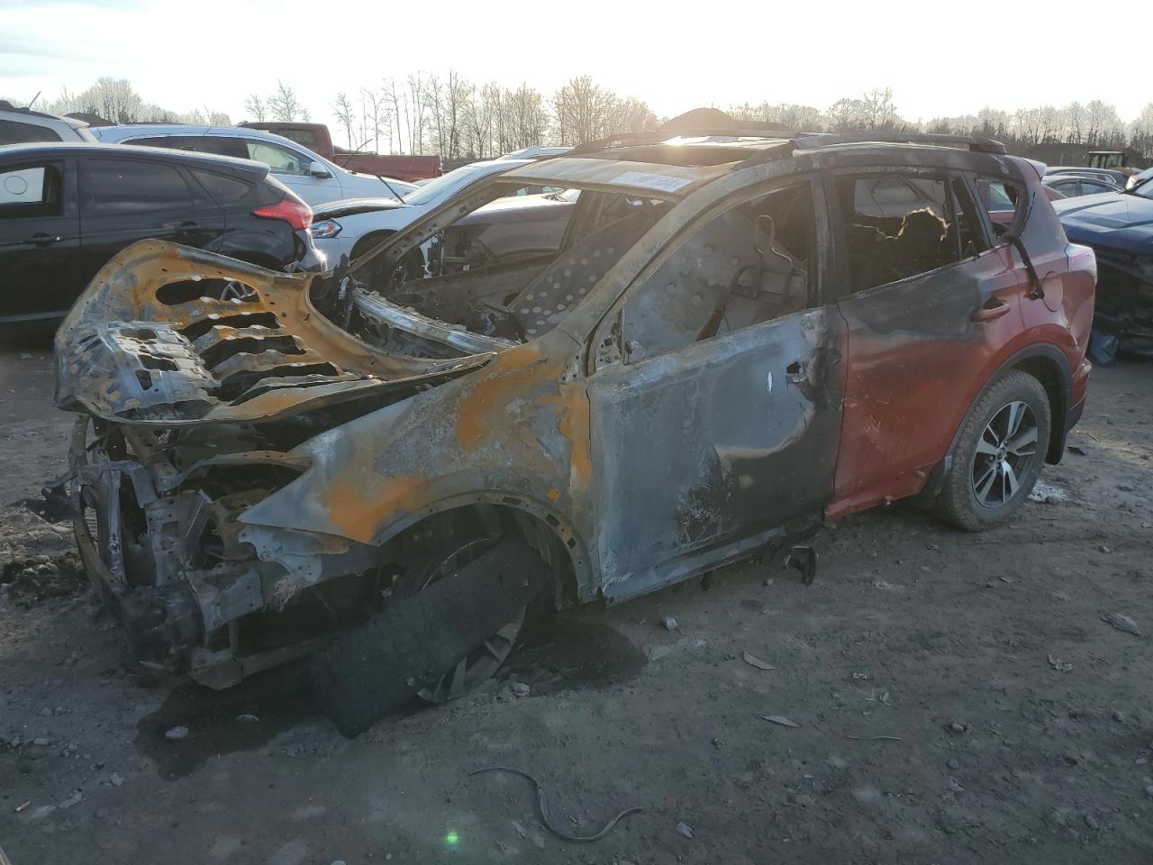 2T3RFREV6GW512530 TOYOTA RAV4 2016