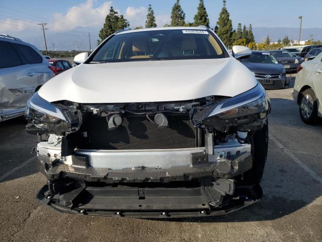 2024 LEXUS NX 250 BAS 2T2ADCAZ5RC009895