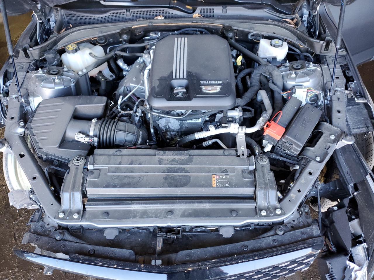 1g6db5rk5n0121646 1G6DB5RK5N0121646 2022 Cadillac Ct4 Premium Luxury