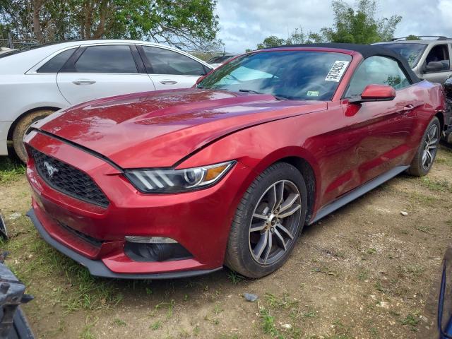 Lot #2390590919 2017 FORD MUSTANG salvage car