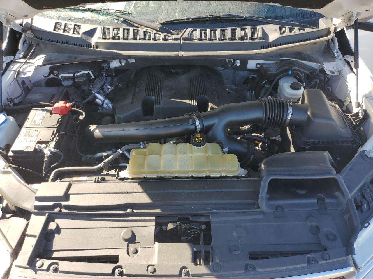 1FTEW1E41KFC82509 FORD F-150 2019