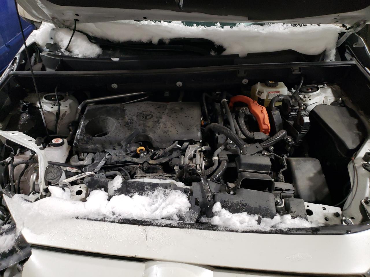 2T3B6RFV7MW021380 TOYOTA RAV4 2021