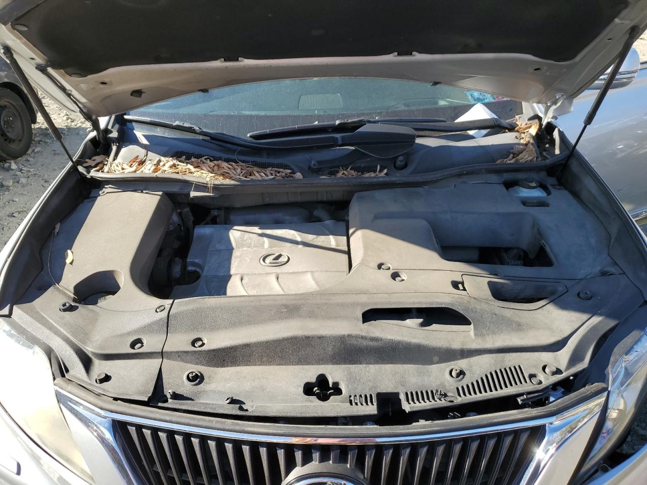 JTJBK1BA1A2404409 2010 Lexus Rx 350