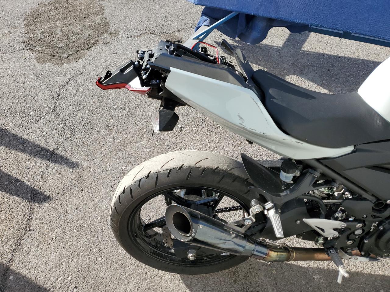 JKAERKD13PDAS5145 KAWASAKI ER400 D 2023