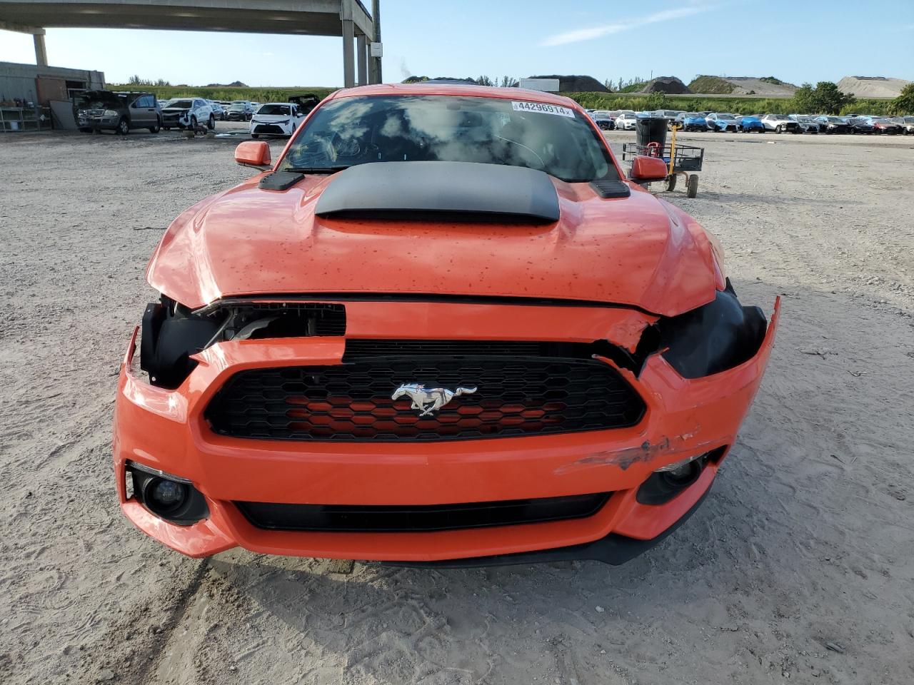 1FA6P8AM1G5271657 FORD ALL Models 2016