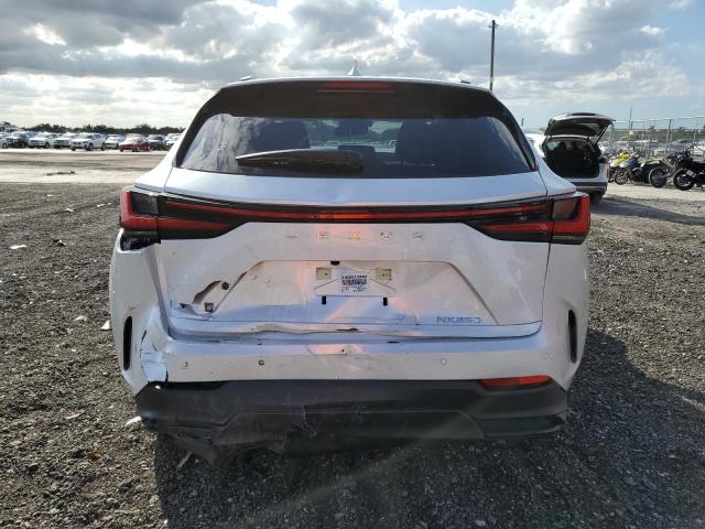 2024 LEXUS NX 250 PRE JTJGDCAZ7R5019269