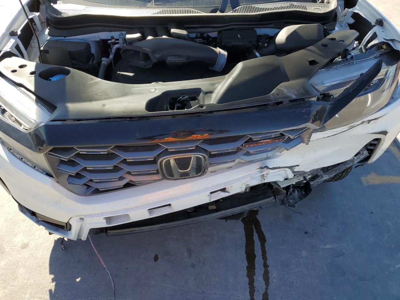 5FNYF8H62NB023748 HONDA PASSPORT 2022