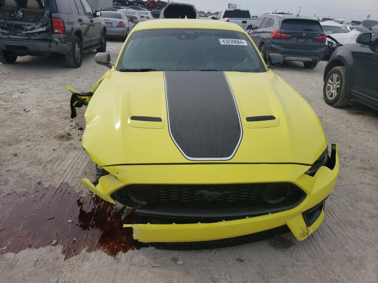 1FA6P8R03M5554753 FORD MUSTANG 2021