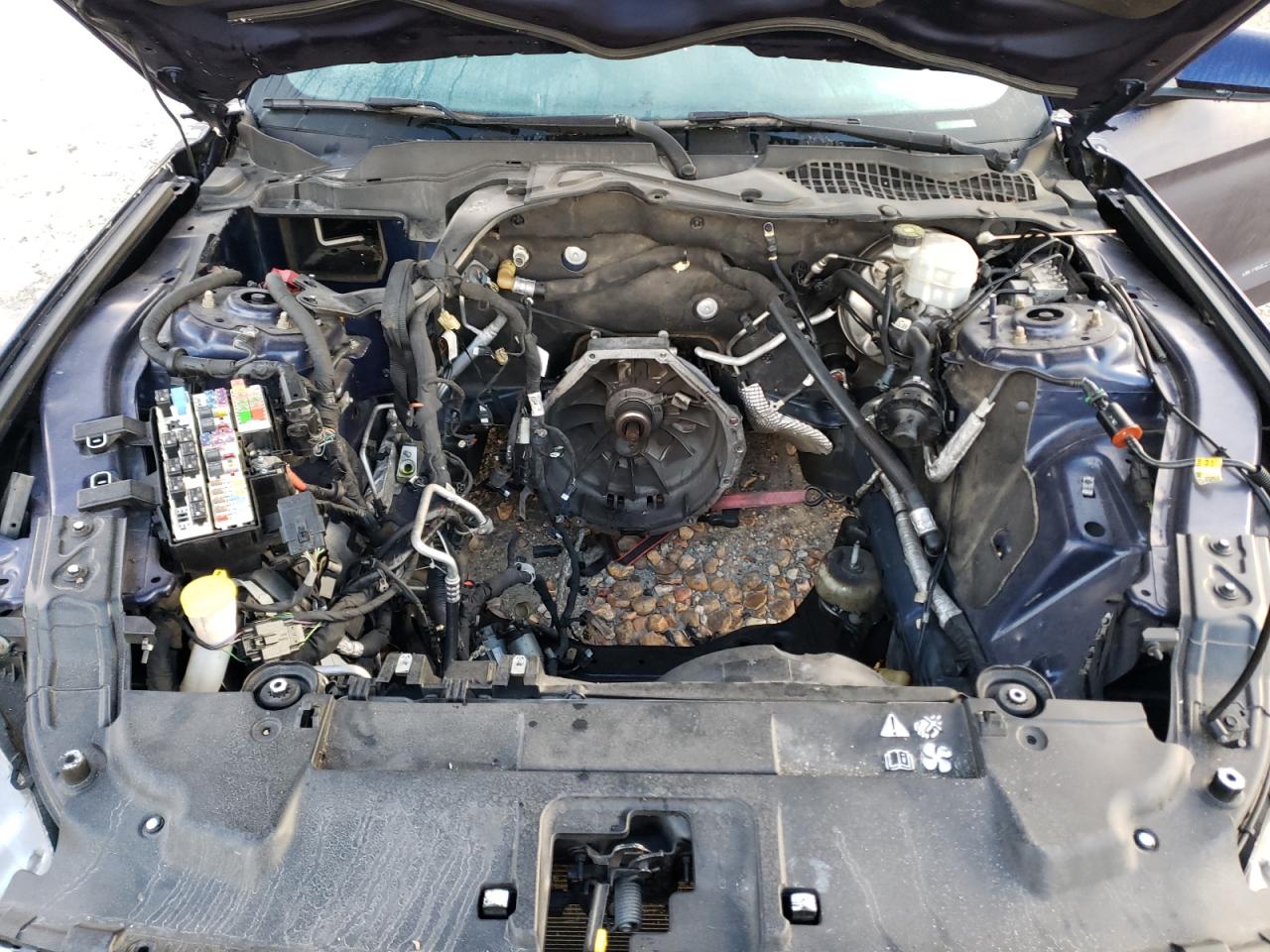 1FA6P8CF1K5197583 FORD MUSTANG 2019
