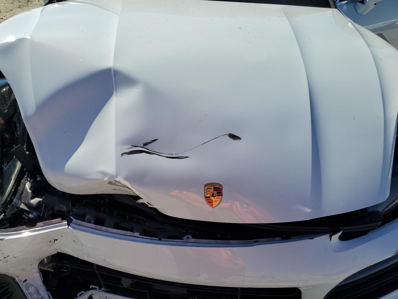 Фото: WP1AB2AY9KDA65356 - 12