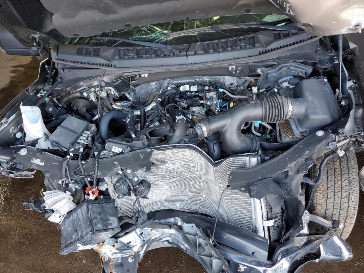 1FTEW1EP4LFB52882 FORD F-150 2020