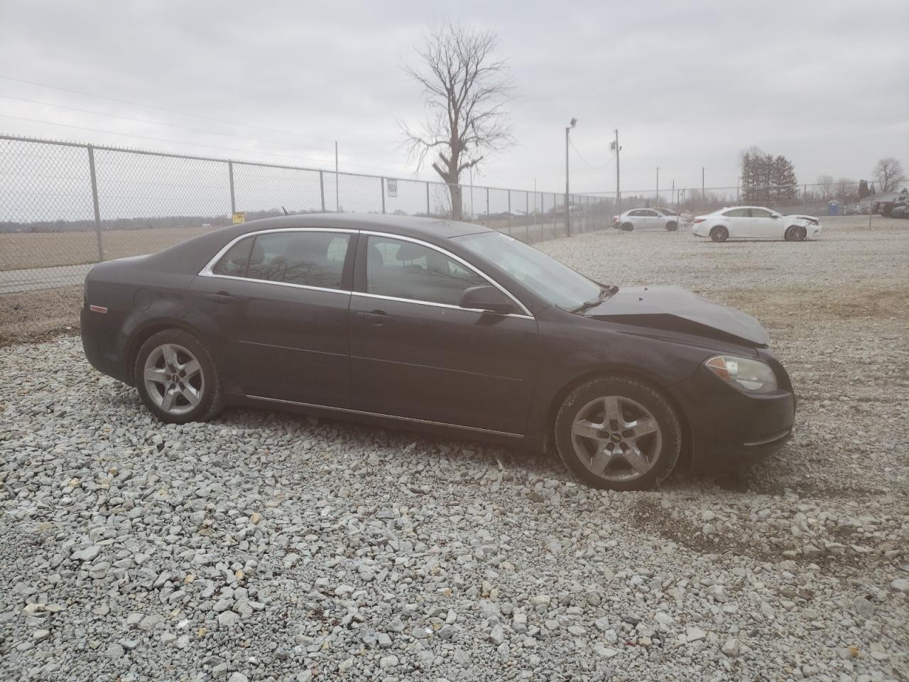 1G1ZC5EB1AF268519 2010 Chevrolet Malibu 1Lt