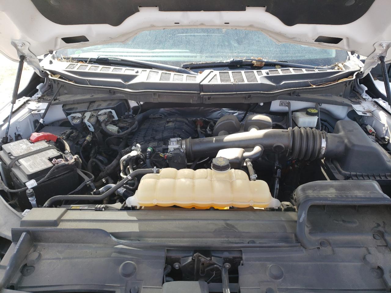 1FTEW1CB6MFA20814 FORD F-150 2021