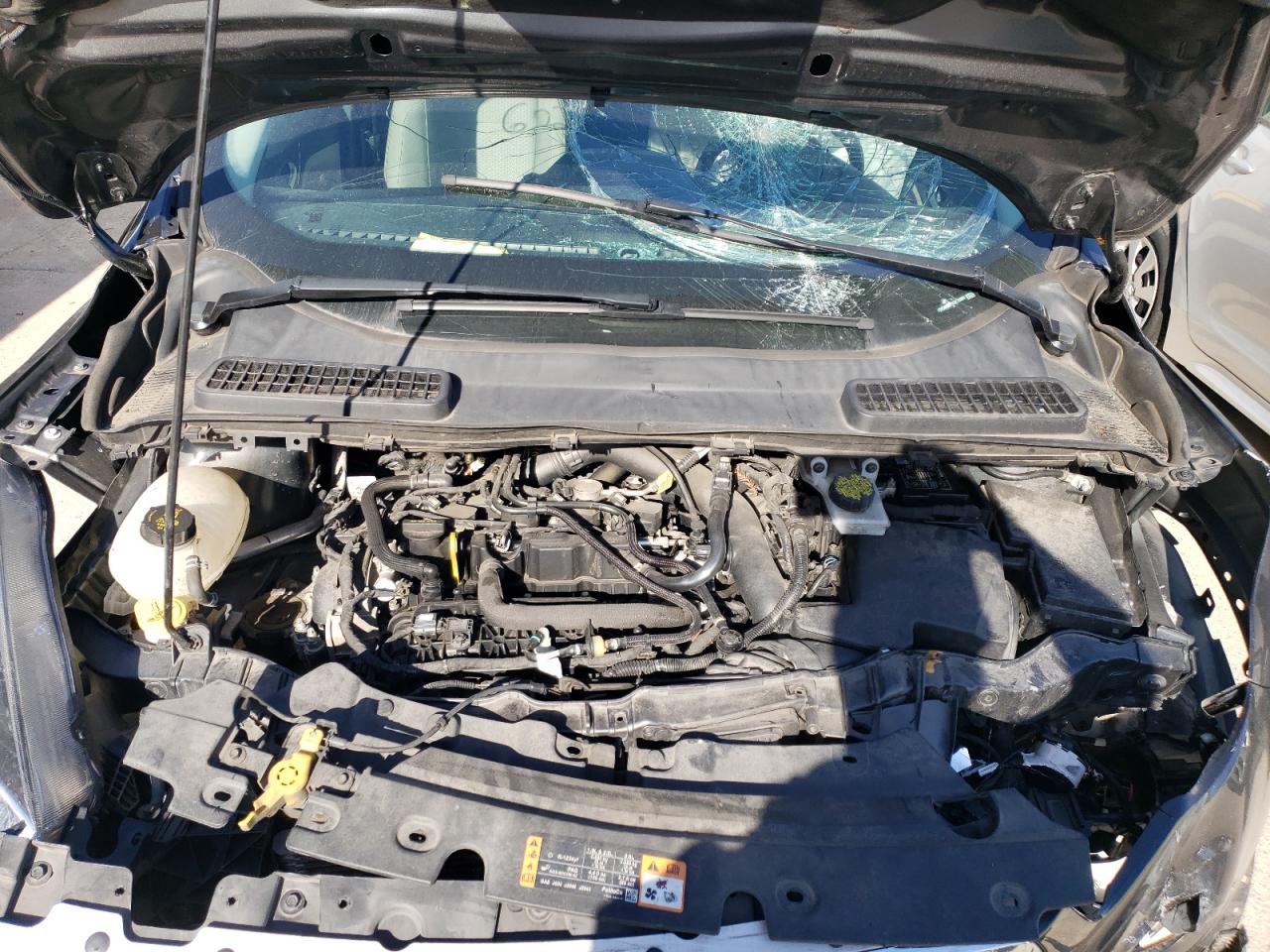 1FMCU0GD1KUC06669 FORD ESCAPE 2019