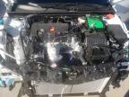 Lot #3317692083 2024 HONDA CIVIC LX