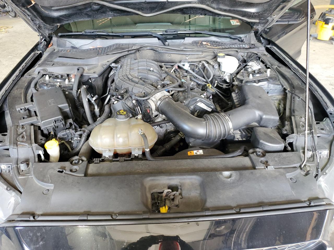 1FA6P8AM7H5238079 FORD ALL Models 2017