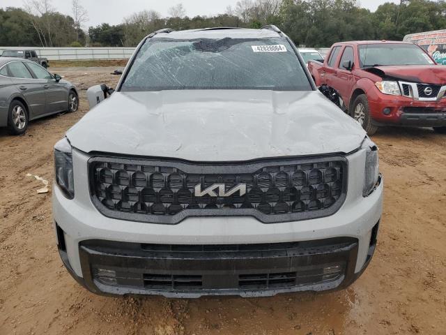 2024 Kia Telluride Sx VIN: 5XYP5DGC1RG415813 Lot: 42828064