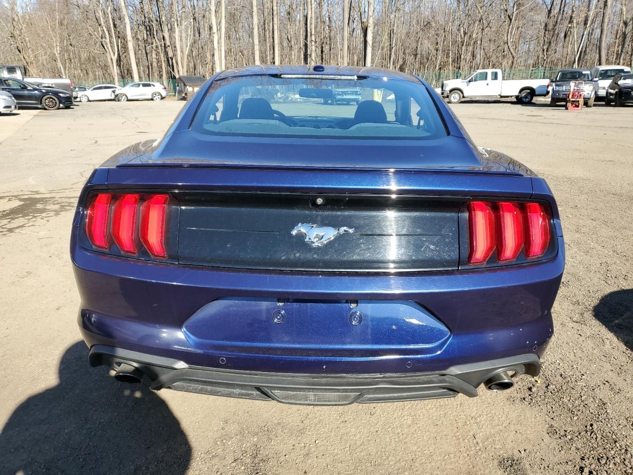 Lot #2339986592 2019 FORD MUSTANG