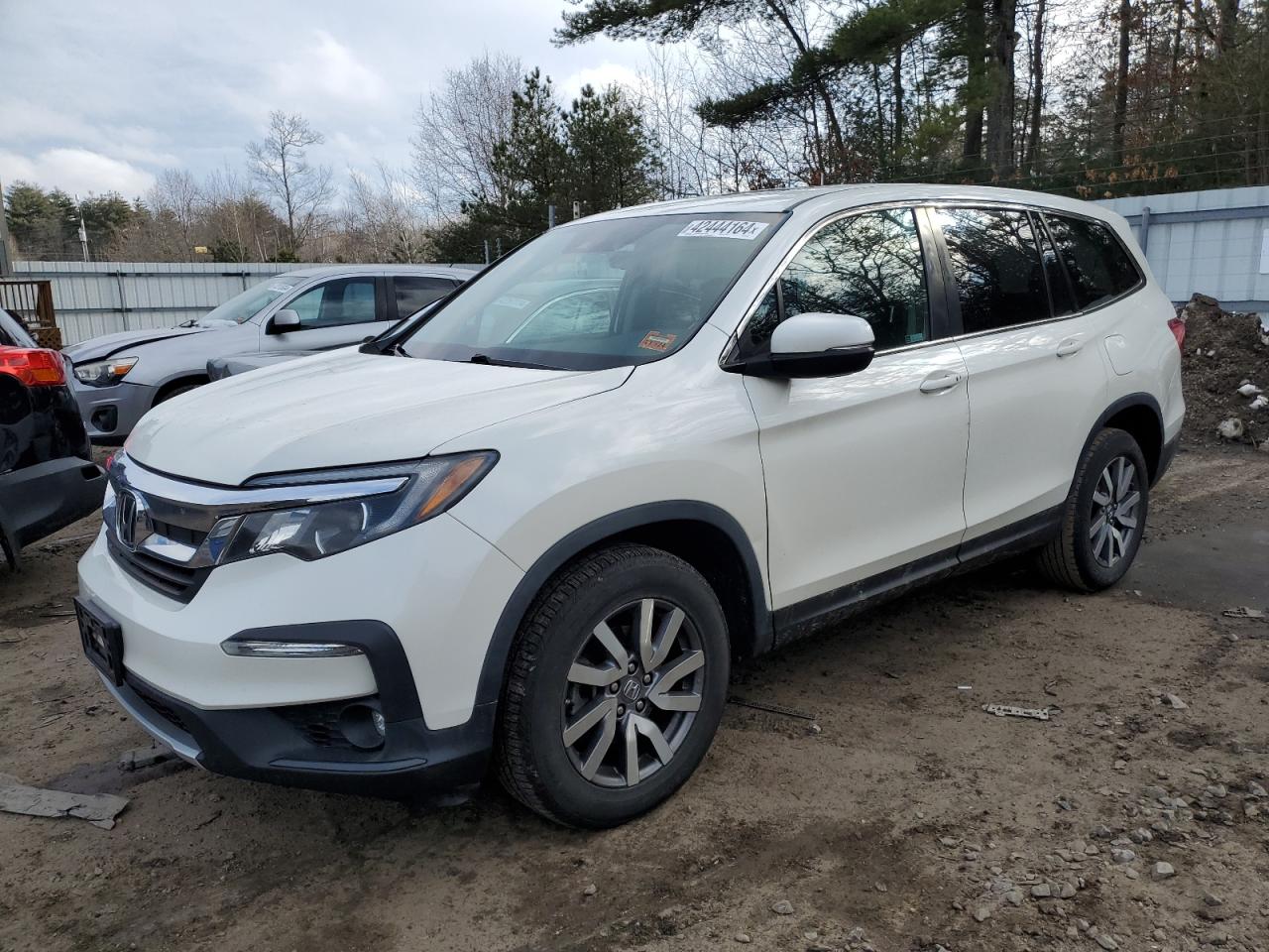 5FNYF6H58KB044353 HONDA PILOT 2019
