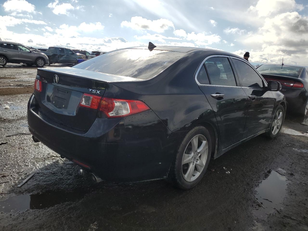 JH4CU2F60AC042739 2010 Acura Tsx