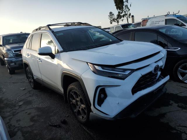 2023 TOYOTA RAV4 WOODL 2T3UWRFV0PW152731