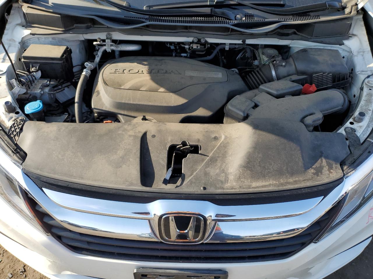 5FNRL6H5XKB060213 HONDA All Models 2019