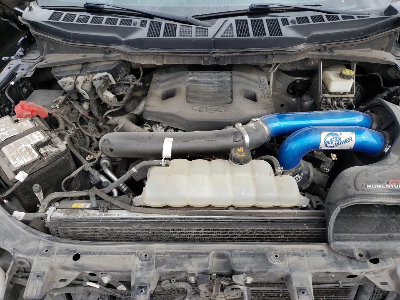 1FTFW1E8XMFB53646 FORD F-150 2021