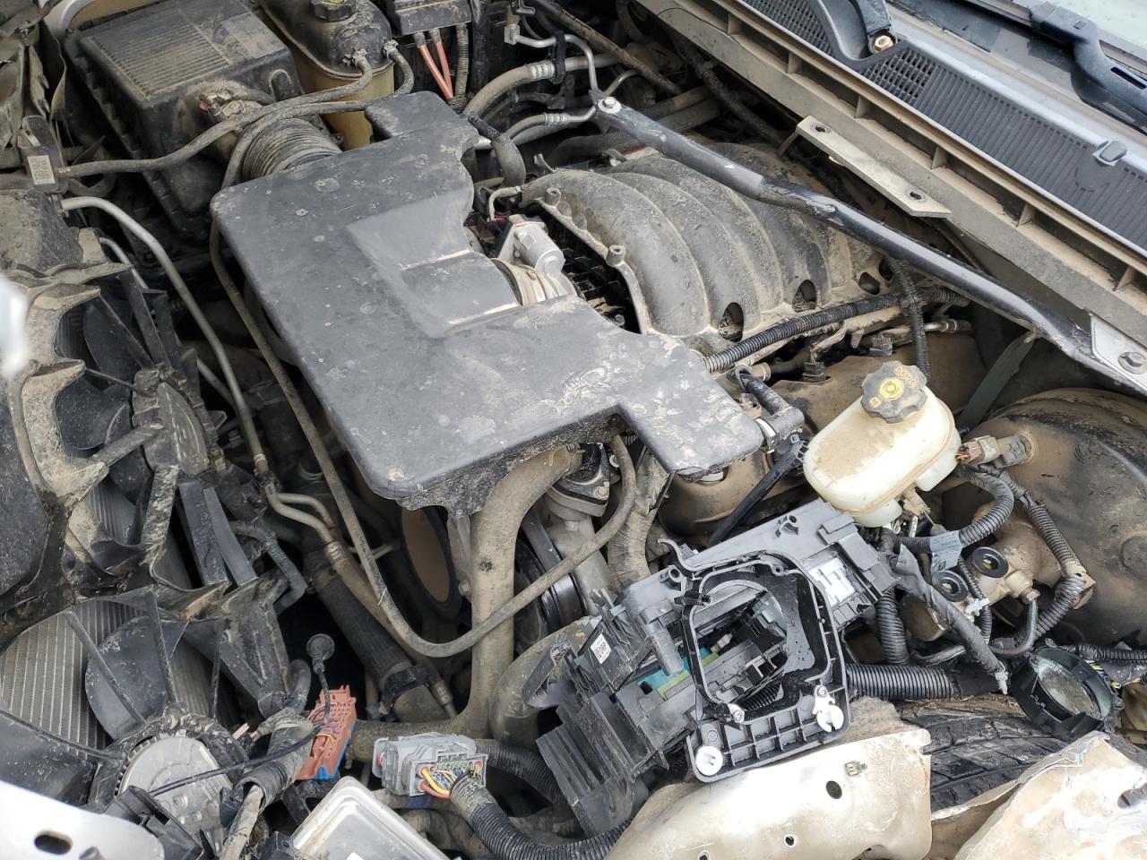 2GCVKPEC9K1113450 CHEVROLET ALL Models 2019