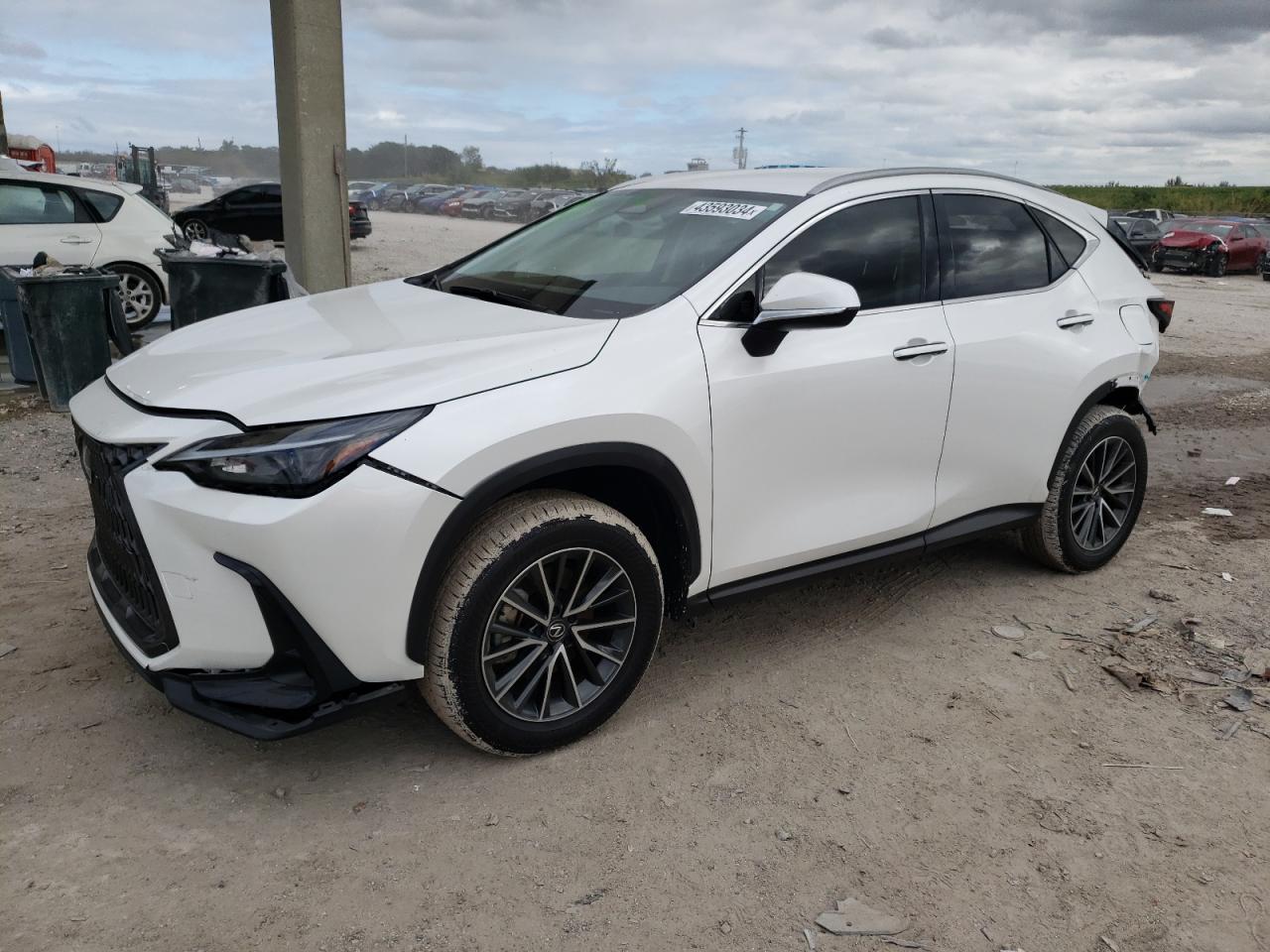JTJADCAZ0R5014095 LEXUS NX 250 BAS 2024