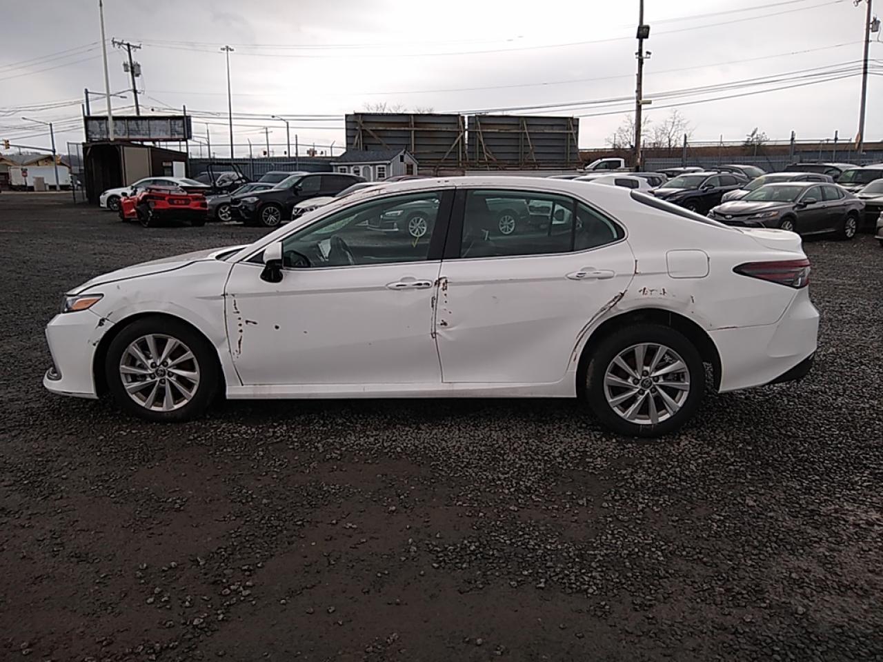 4T1C11AK7PU831087 TOYOTA CAMRY 2023