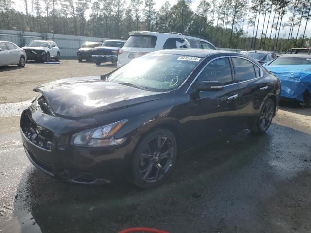 Lot #2394906299 2013 NISSAN MAXIMA S salvage car