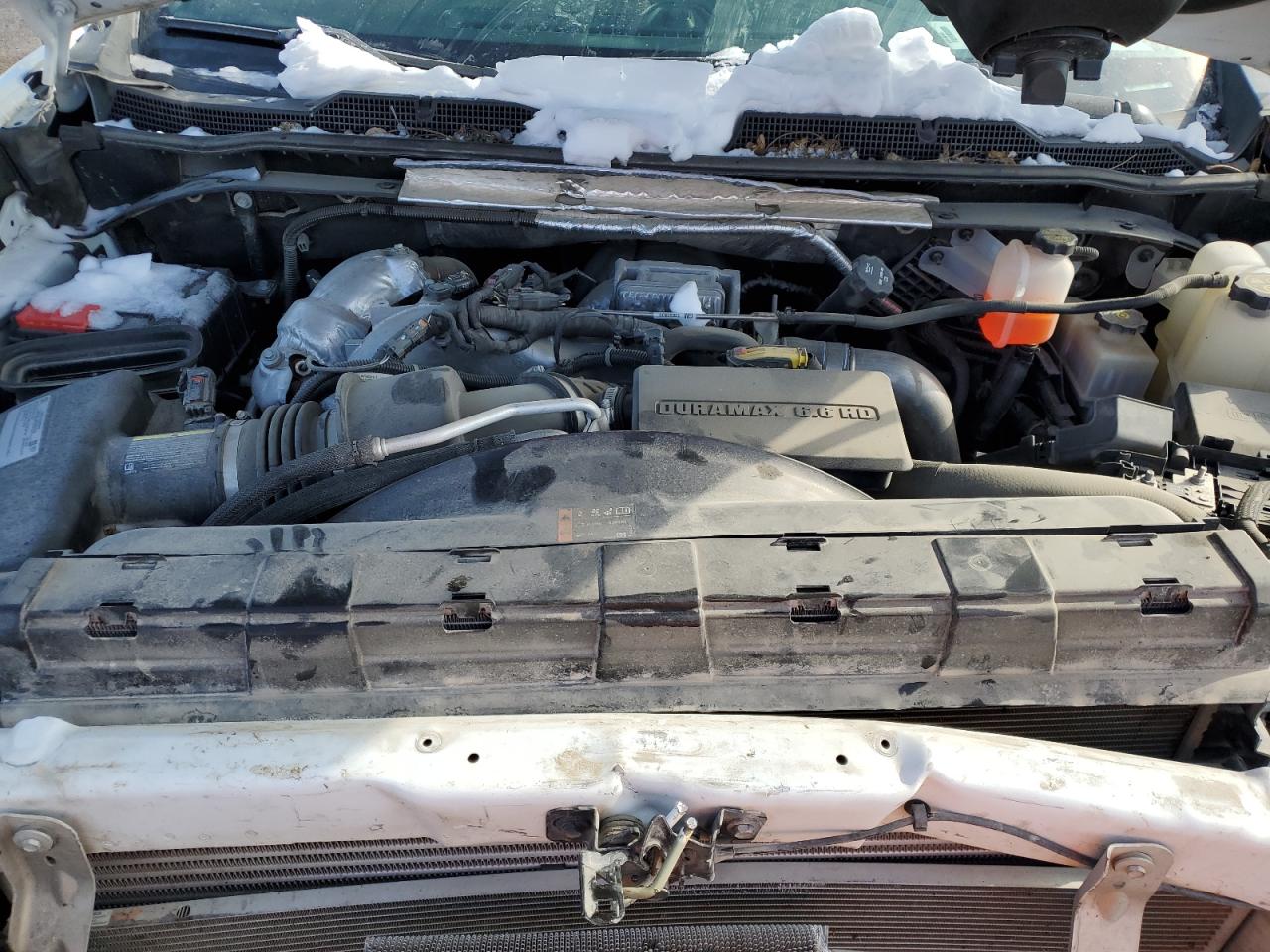 1GC1YREY1LF215775 CHEVROLET All Models 2020