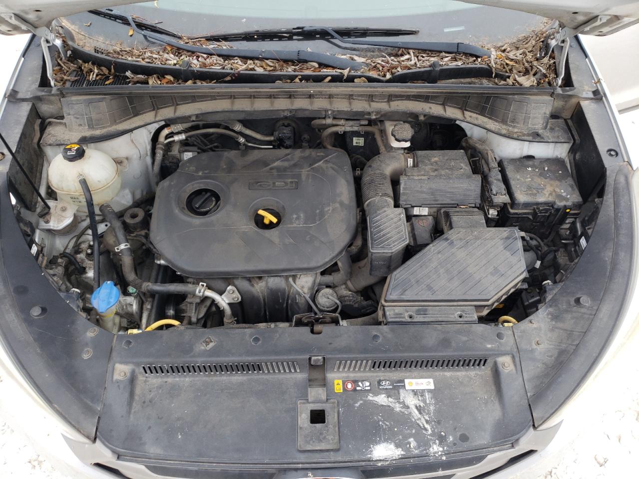 KM8J23A43GU156131 2016 Hyundai Tucson Se